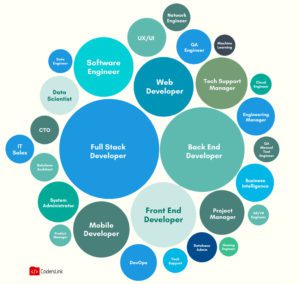 circle diagram shows density of developer roles